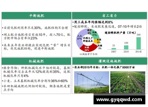 淄博体育明星代言费用分析及其影响因素全面解析