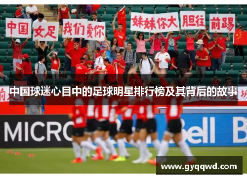 中国球迷心目中的足球明星排行榜及其背后的故事