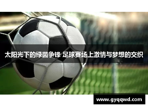 太阳光下的绿茵争锋 足球赛场上激情与梦想的交织